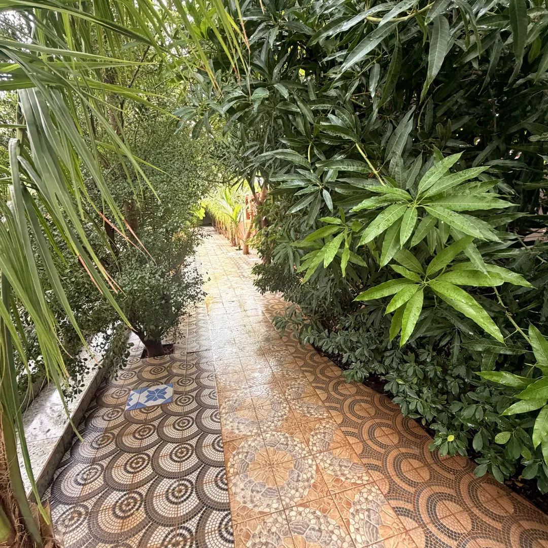 Allée en mosaïque bordée d'une végétation luxuriante