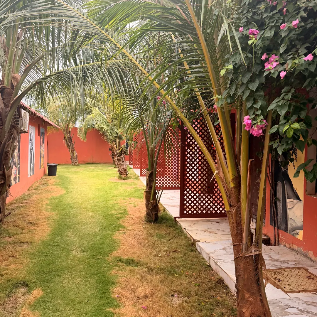 Allée de cocotiers et de bougainvilliers le long des chambres aux murs terracotta